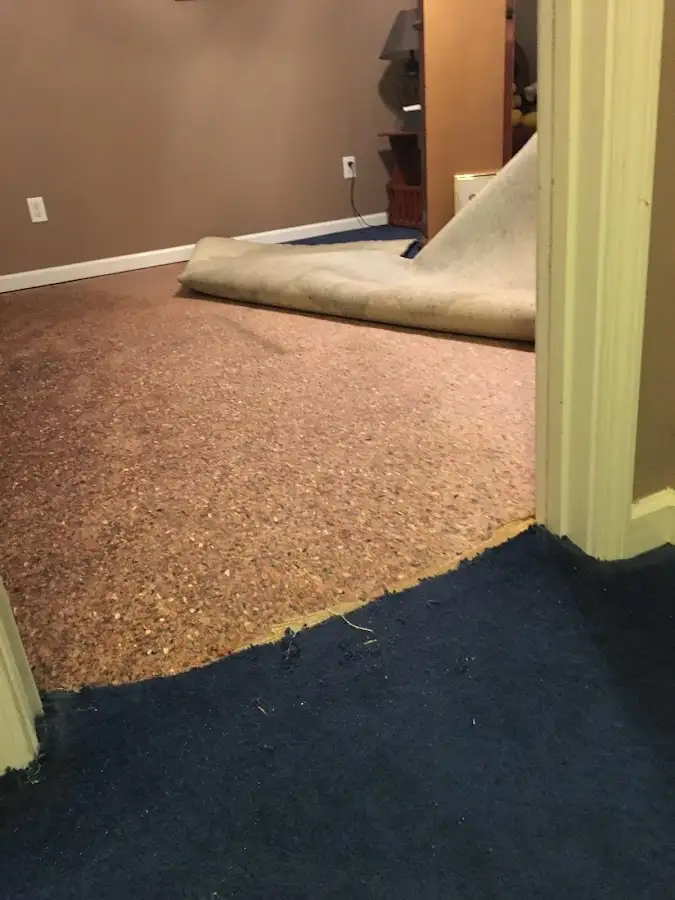 Carpet pad removal revealing water damage during Drying & Dehumidification in Scio