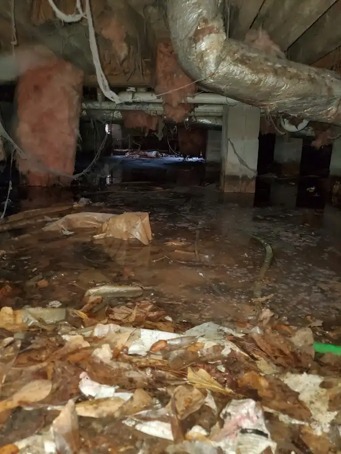 Crawl space flood assessment for Leak Detection & Repair in Scio
